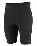 ONeill Reactor II 1.5mm Mens Wetsuit Shorts 2024